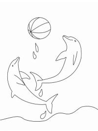 Delfiner leker med en boll