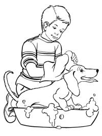 Tvätta hunden