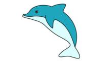Hur man ritar en delfin