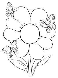 Blomma med fjärilar