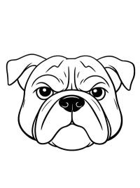 Bulldogg huvud