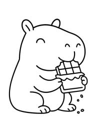 Capybara äter choklad