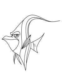 Gill (Hitta Nemo)