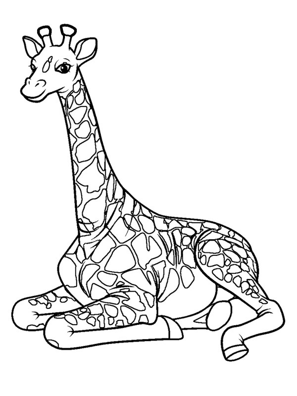 Giraff Målarbild