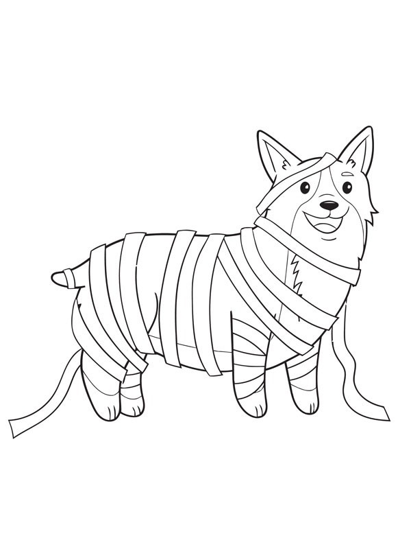 Corgi klädd som mumie Målarbild